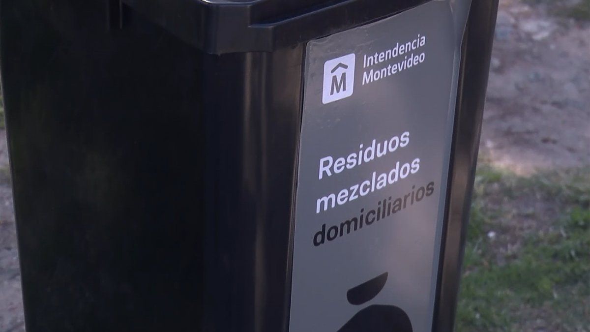 "Alerta camión": el sistema que informa sobre el recorrido de los recolectores de contenedores intradomiciliarios