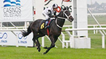 Subrayado | MICRO TURF 12 D NOV