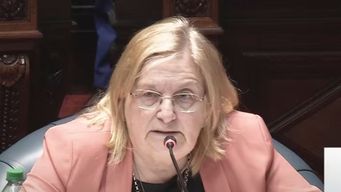 graciela bianchi dijo en el senado que jorge diaz le pidio a alvaro delgado que la sacara del parlamento