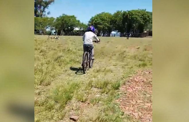 bici-artigas-historia