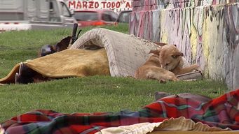 mides aplica plan invierno especial tras el aviso de meteorologia por frio polar y minimas bajo cero