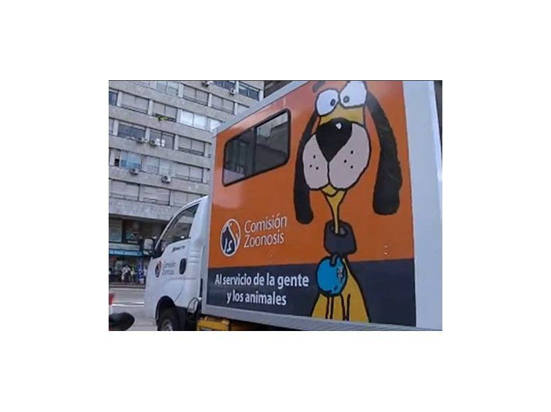 IM apunta a la castración obligatoria de perros enfermos