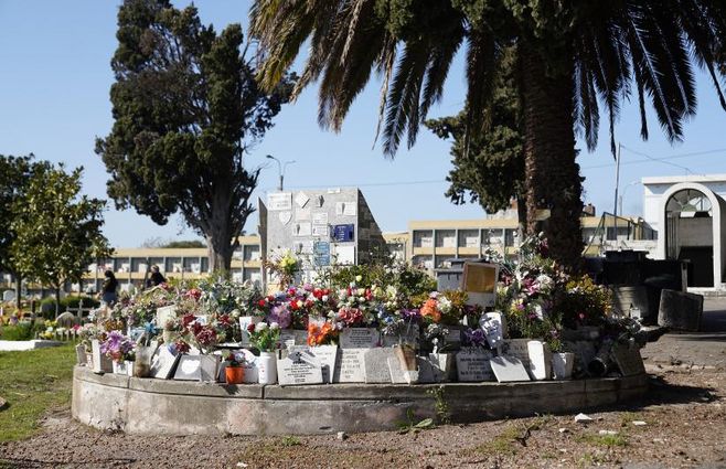 20220914dicimouyaf0014