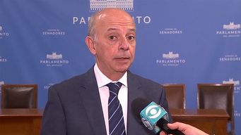 garcia sobre postura de la oposicion del plebiscito: cuando el fa dice libertad de accion no dice nada