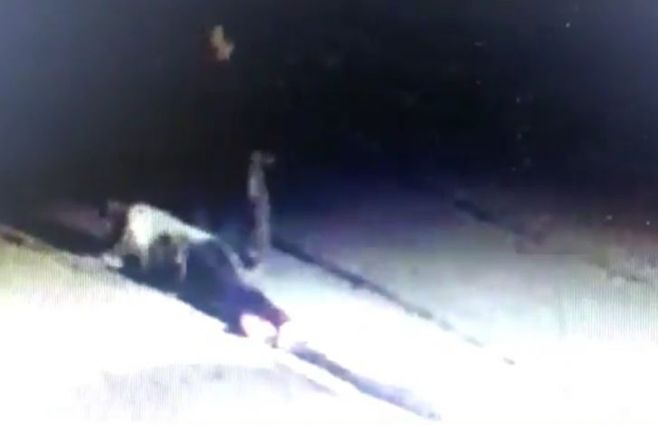 El joven yace en el suelo. Jorge Ríos está parado. La cámara muestra lo que pasó 