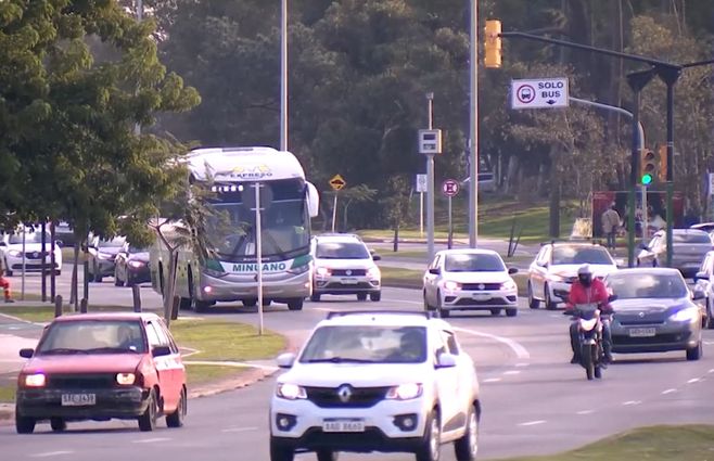 tránsito-libreta-puntos