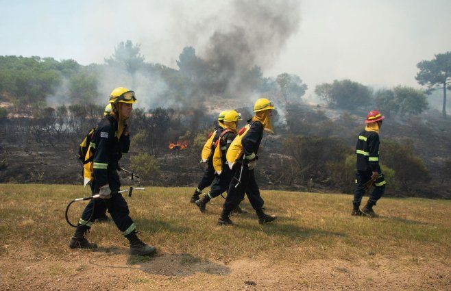 Foto: FocoUy, archivo. Bomberos durante incendio forestal.
