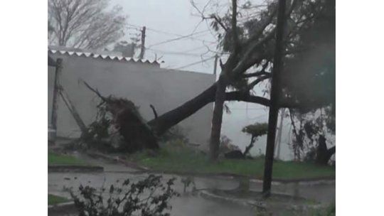 Artigas: fuerte temporal deja heridos y varias roturas