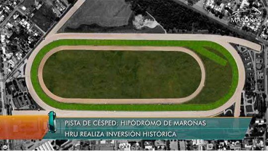 Histórica inversión en Maroñas, comienzan a construir una pista de césped