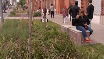 siete cuadras de espacios verdes, mas peatonalizacion y mobiliario urbano: nuevo parque lineal en ciudad vieja