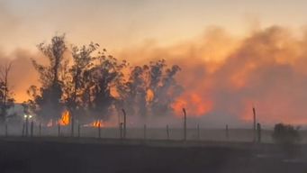 bomberos y vecinos trabajan en el combate al incendio de campo proximo al frigorifico pando