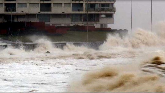 temporal punta