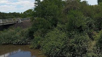 una mujer murio electrocutada tras quedar enganchado, en los cables, el aparejo con el que pescaba