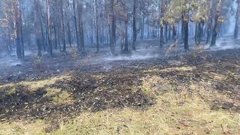 Foto: Ministerio del Interior