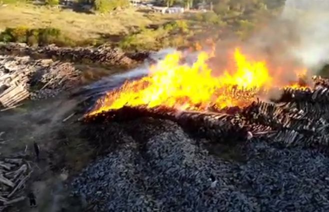 Foto: Captura de video publicado por Diario El Telégrafo de Paysandú 