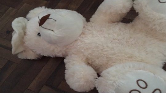 A prisión abuela que llevaba droga en el oso de peluche de su nieto