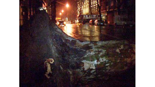 Más de 20 árboles caídos, chapas y carteles volados por temporal