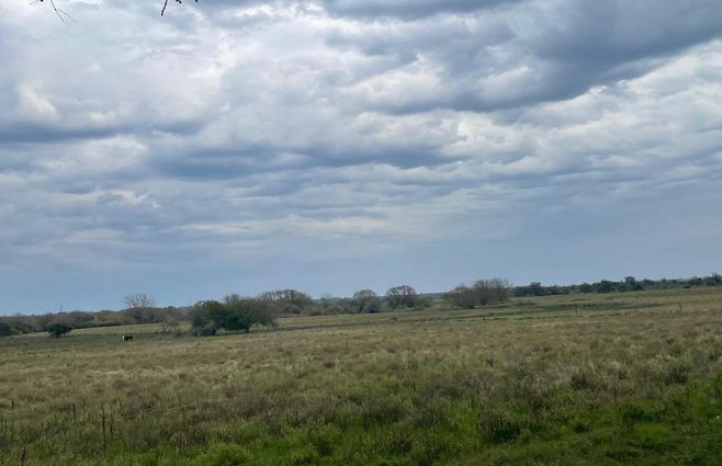 NUBLADO-TORMENTA-CAMPO.jpg