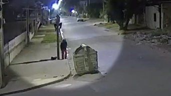 Deslizá hacia abajo para mirar el video.