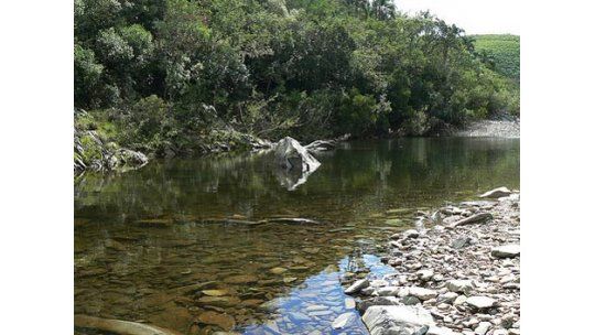 Empleado de red de cobranza desapareció con 1 millón de dólares