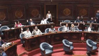 con cambios, el senado vota este miercoles el proyecto de asistencia a la caja de profesionales