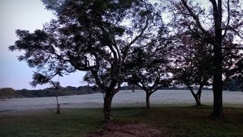 frio, muy frio y con heladas y minimas bajo cero; el informe de nubel cisneros