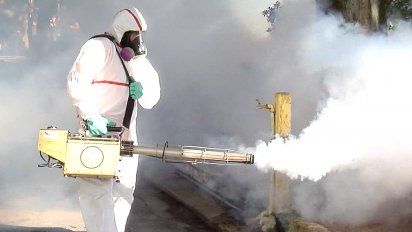 el lunes fumigaran en el cementerio del buceo por la mosquita cadaverica