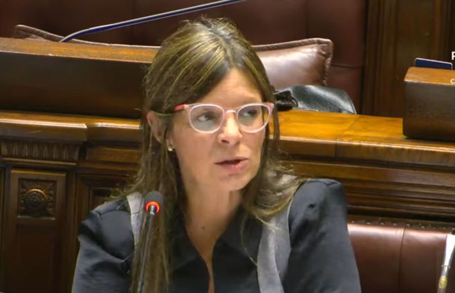 Claudia Romero, presidenta del INAU, en la interpelación.&nbsp;