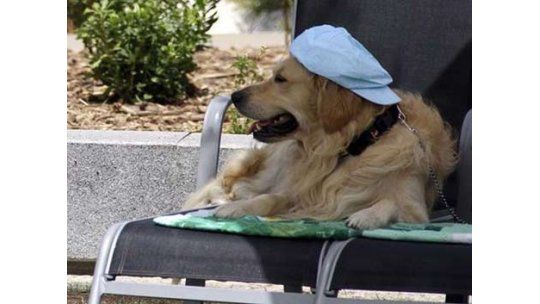 Hoy será una tarde sofocante y mañana desmejorará