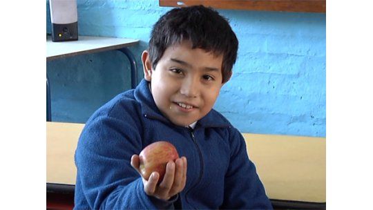 Aprobaron lista de alimentos saludables para escuelas y liceos