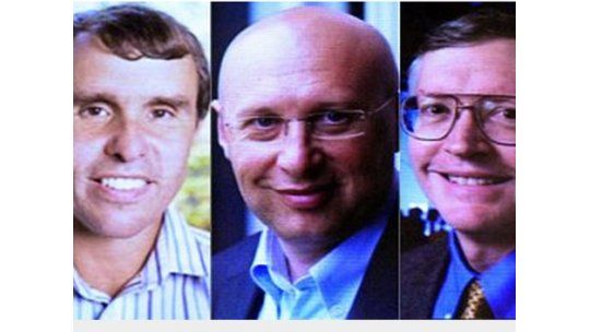 Premio Nobel de Química 2014 para microscopios de alta resolución