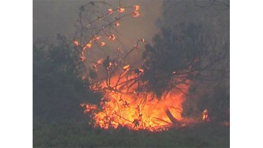 Incendio a 4 kilómetros de estancia presidencial de Anchorena