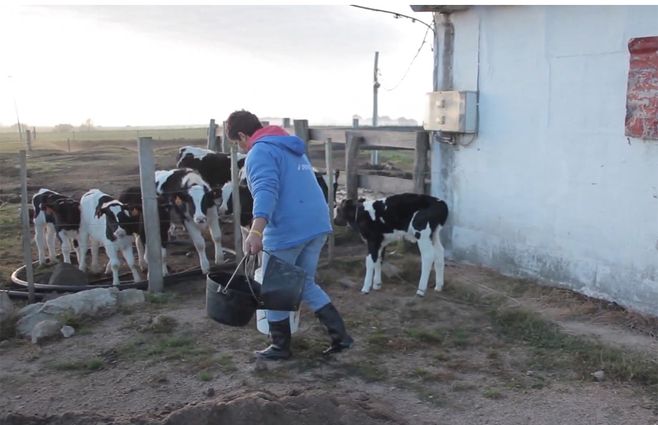 mujer-trabajo-rural-tambo.jpg