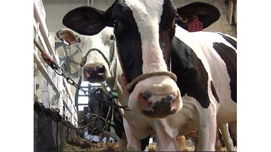 Termina Expo Prado 2012 y hay actividades para todos los gustos