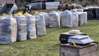 La droga incautada en la chacra, en Punta Espinillo.