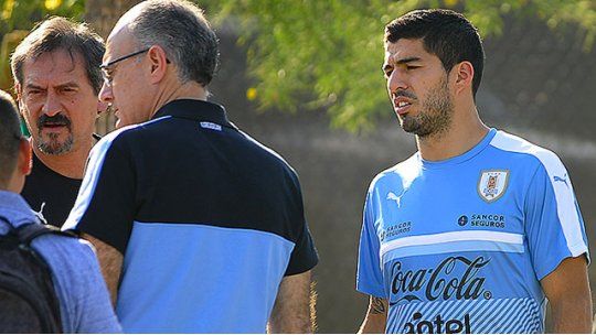 Suárez