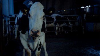 Subrayado | CINE POLÉMICO DOCUMENTAL