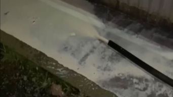 pa la cuneta la leche; productor difunde video para mostrar que debe tirar leche porque no pasa el camion recolector