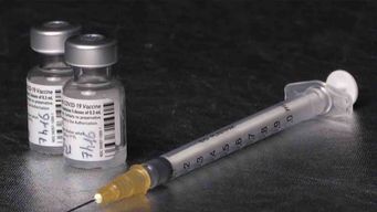 la vacunacion anticovid sera obligatoria en austria