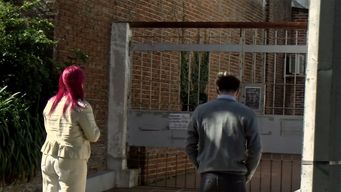 declaro el conductor detenido en procedimiento que intervino el jefe de policia de maldonado