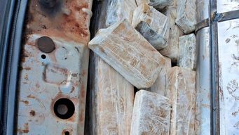 policia de rivera incauto 139 kilos de marihuana; hay dos personas detenidas