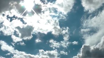 visualizador del indice uv: la escala de riesgo por exposicion al sol va de verde a violeta