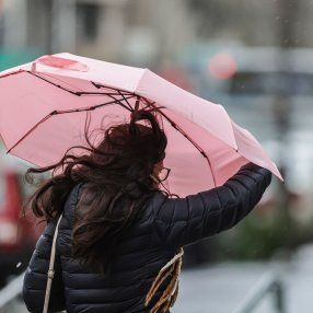 Foto: FocoUy Foto: FocoUy