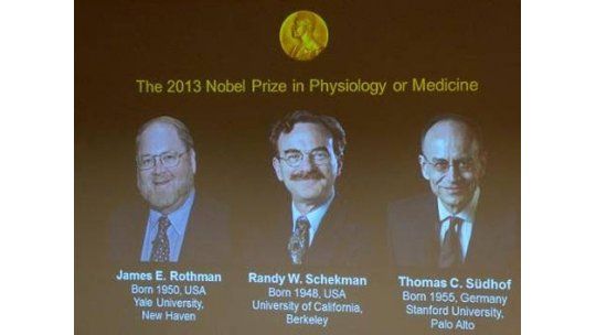 Otorgan premio Nobel de Medicina 2013 por transporte celular