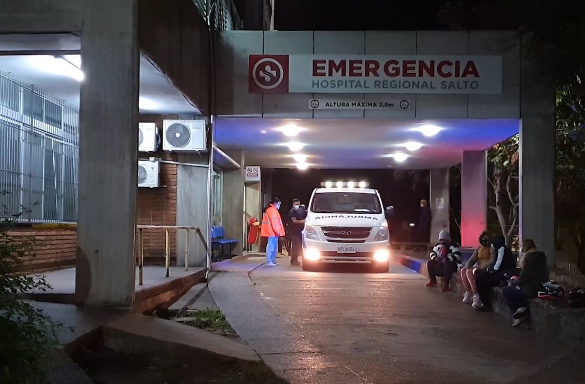 Niño de dos años herido en la cara con una chumbera; la Policía investiga qué pasó