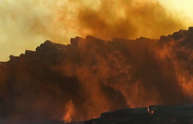 incendio maderera rincón del cerro enero 2022.jpg