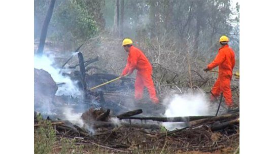 Está bajo control el incendio en el Parque Bartolomé Hidalgo