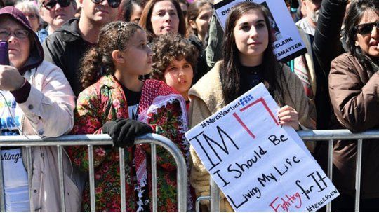 manifestacion armas eeuu