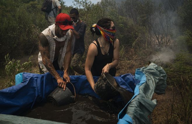 INCENDIO CERRO DEL TORO FOCO UY (7).jpeg