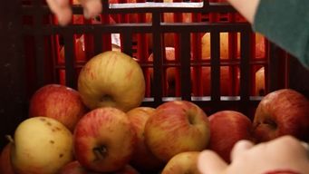 organizacion que rescata alimentos que van a ser desechados para donarlos lanza campana solidaria